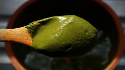 haircare tips using curry leaves for rapid hair growth