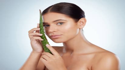 skincare how to make aloe vera gel at home