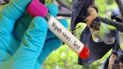 Nipah Virus in Kerala