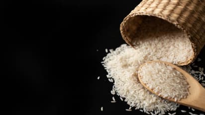 how to protect rice from insects at home