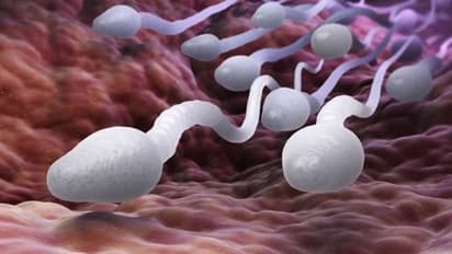 Boost Sperm Count Naturally Male Fertility Tips and Solutions