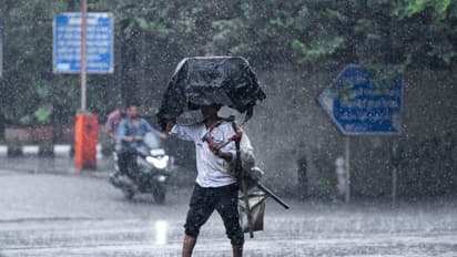 Heavy rainfall lashes Karnataka districts (File Photo)