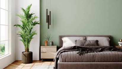 Things you should remove from the bedroom