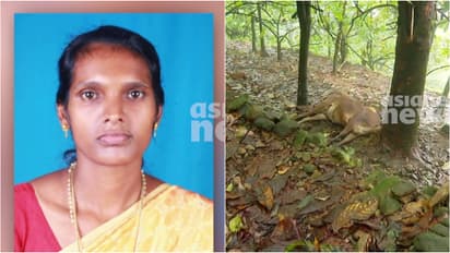 pasukadavu shock death