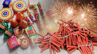 up firecrackers ban 8 districts supreme court order