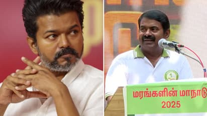 seeman vs vijay