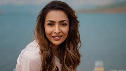 malaika arora sells luxurious apartment