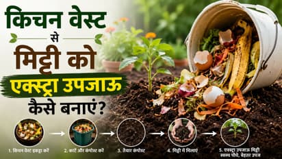 Soil Booster