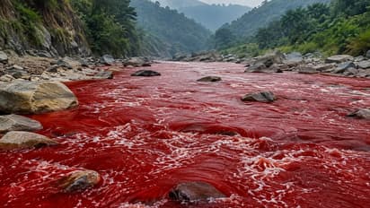 Blood river