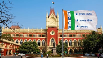 tmcp foundation day event dispute kalighat trinamool calcutta high court bsm