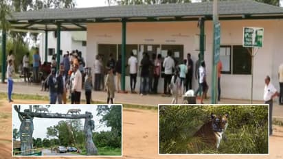 Bandipur and Nagarhole safari rates hiked from September 1