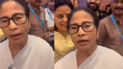 Mamata Banerjee viral rhymes video