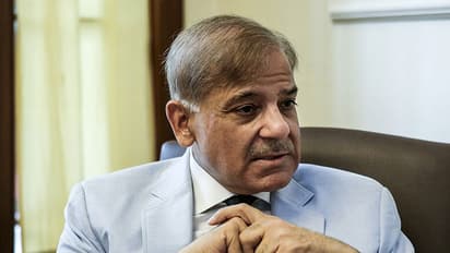 shahbaz sharif