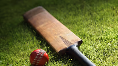 Cricket bat and ball