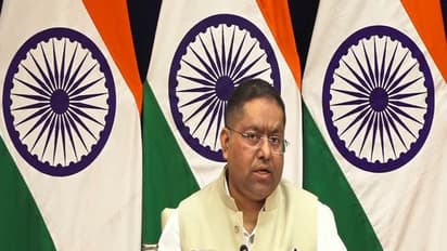  MEA spokesperson Randhir Jaiswal (Photo/MEA YouTube)