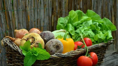 vegetable basket