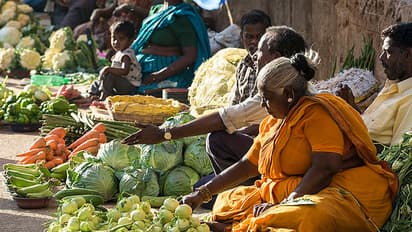 vegetable market