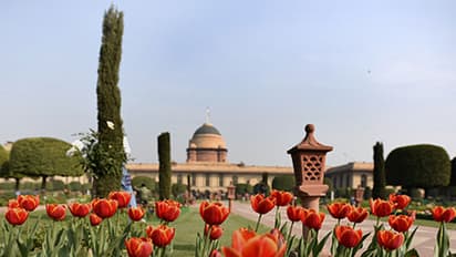 Mughal Garden banner