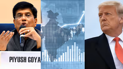 India US trade talks