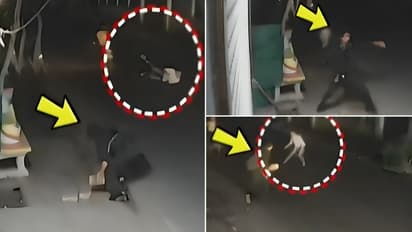 Punjab Robbery CCTV Video Goes Viral