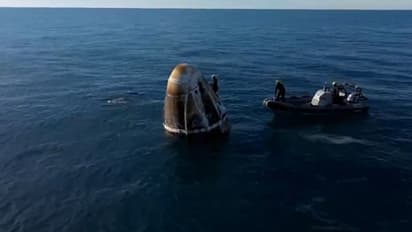 Dolphins welcomes sunita williams