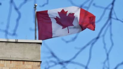 china executes four canadian