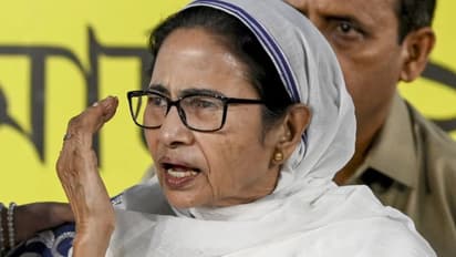 mamta
