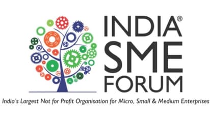 Festive Season Critical for Small Sellers' Survival; Regulatory Changes Could Impact Millions of Digital-First Businesses