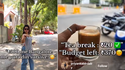 Woman Spends Just ₹500 in a Day, Internet Reacts