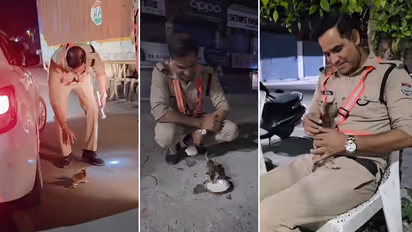 Watch: Uttarakhand Cop Rescues Kitten Trapped Under Car, Feeds It; Viral Video Wins Hearts Online