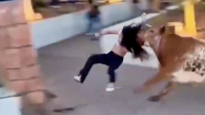 Bull attacks woman