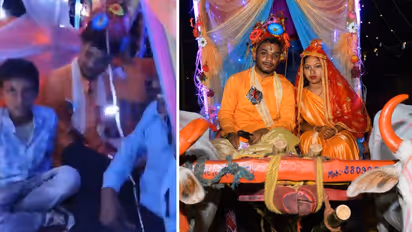 WATCH: Jharkhand Groom Skips Luxury Car, Rides Bullock Cart To Inspire Dowry-Free Weddings; Video Goes Viral
