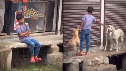 Viral Video | Little Boy’s 6 AM Mission to Feed Stray Dogs Is Melting Hearts Online (WATCH)