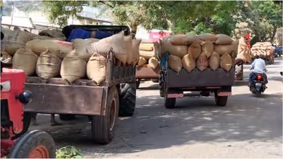 Maize price drop in Gadag