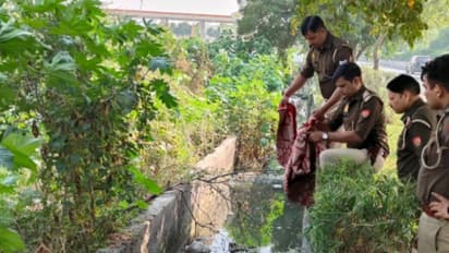 Man from Bengal Arrested for Killing Partner, Dismembering Body Across Two Locations