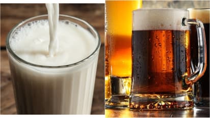 Milk Beer