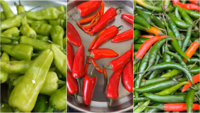 Red VS Green Chilli