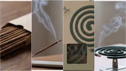 Incense stick and mosquito coil smoke