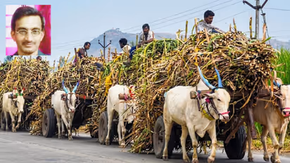 Sugarcane Farmers