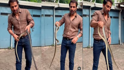 sonu sood saves snake