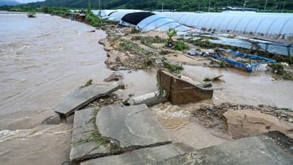 flood south korea