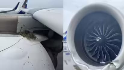 रनवे से फिसला एयर इंडिया का विमान