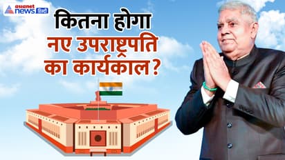 vice president election