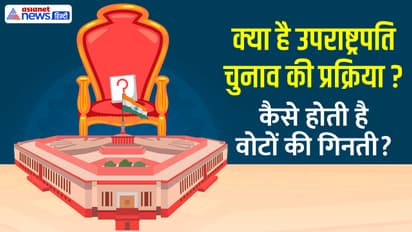 Vice President election