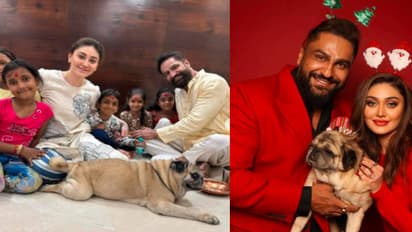 Shefali Jariwala, Parag Tyagi