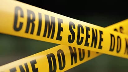 प्रतिकात्मक तस्वीर