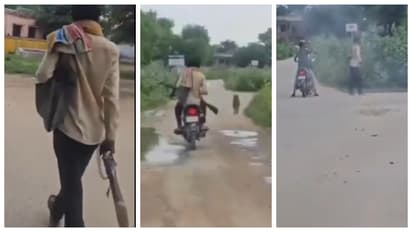 25 Stray Dogs killed in two days