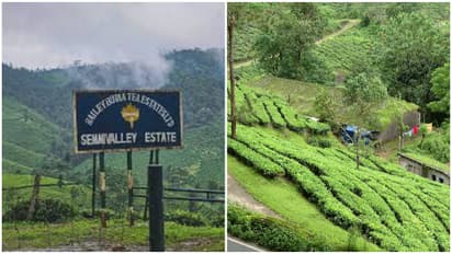 munnar