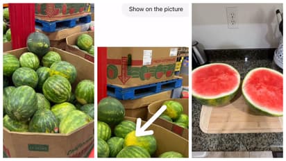 Chatgpt suggested watermelon