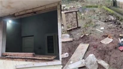 Wild Elephant attack